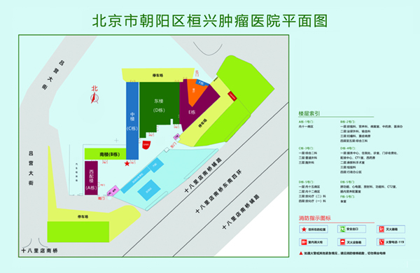 肌肉女操逼视频北京市朝阳区桓兴肿瘤医院平面图